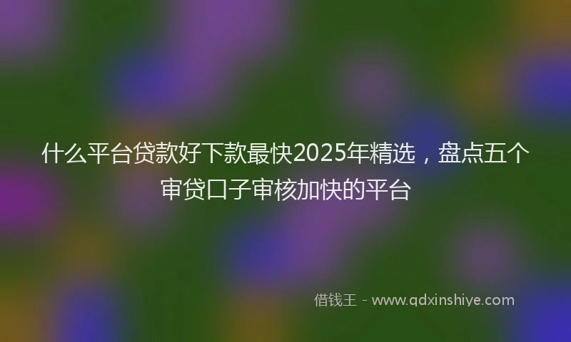 什么平台贷款好下款最快2025年精选，盘点五个审贷口子审核加快的平台