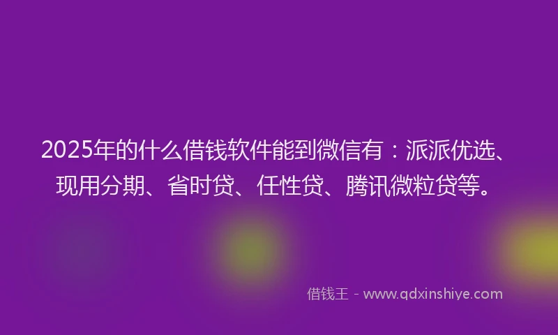 2025年的什么借钱软件能到微信有：派派优选、现用分期、省时贷、任性贷、腾讯微粒贷等。