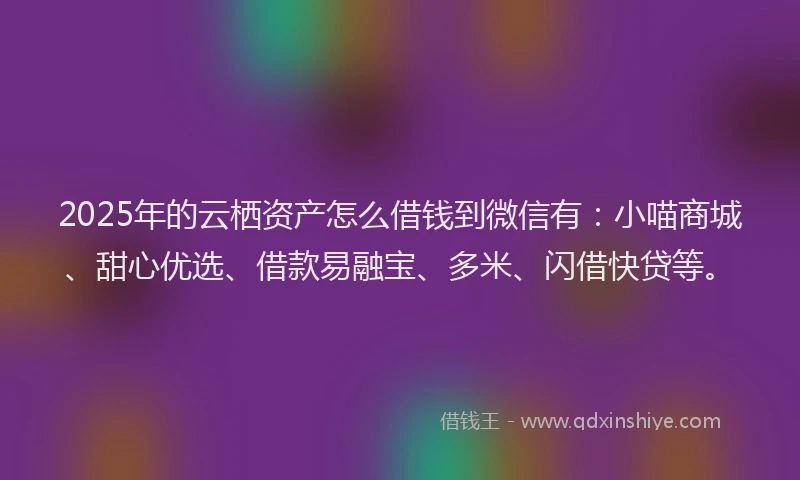 2025年的云栖资产怎么借钱到微信有：小喵商城、甜心优选、借款易融宝、多米、闪借快贷等。
