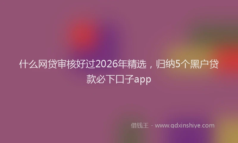 什么网贷审核好过2026年精选，归纳5个黑户贷款必下口子app