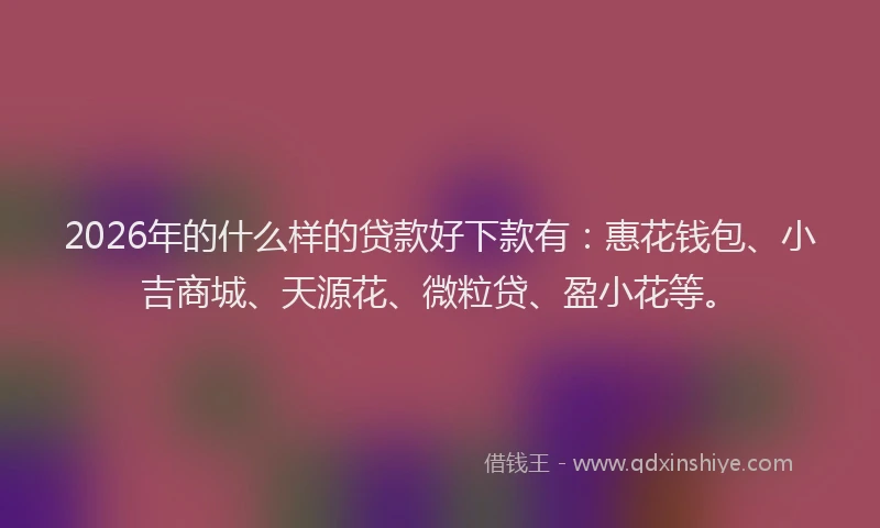 2026年的什么样的贷款好下款有:惠花钱包、小吉商城、天源花、微粒贷、盈小花等。