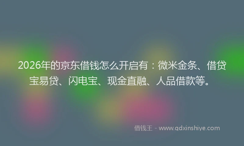 2026年的京东借钱怎么开启有：微米金条、借贷宝易贷、闪电宝、现金直融、人品借款等。
