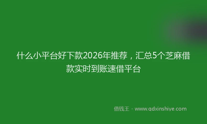 什么小平台好下款2026年推荐，汇总5个芝麻借款实时到账速借平台