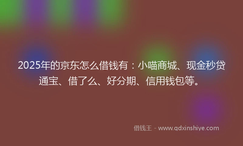 2025年的京东怎么借钱有：小喵商城、现金秒贷通宝、借了么、好分期、信用钱包等。