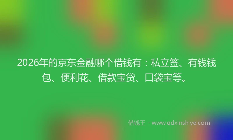 2026年的京东金融哪个借钱有：私立签、有钱钱包、便利花、借款宝贷、口袋宝等。
