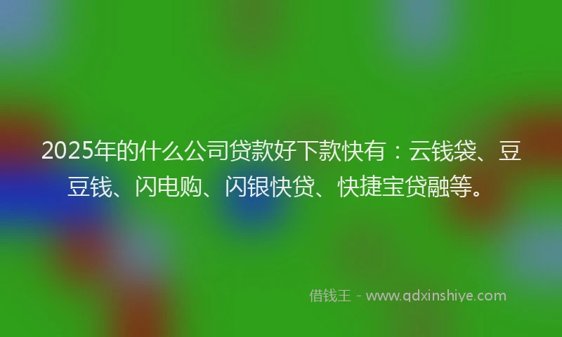 2025年的什么公司贷款好下款快有：云钱袋、豆豆钱、闪电购、闪银快贷、快捷宝贷融等。
