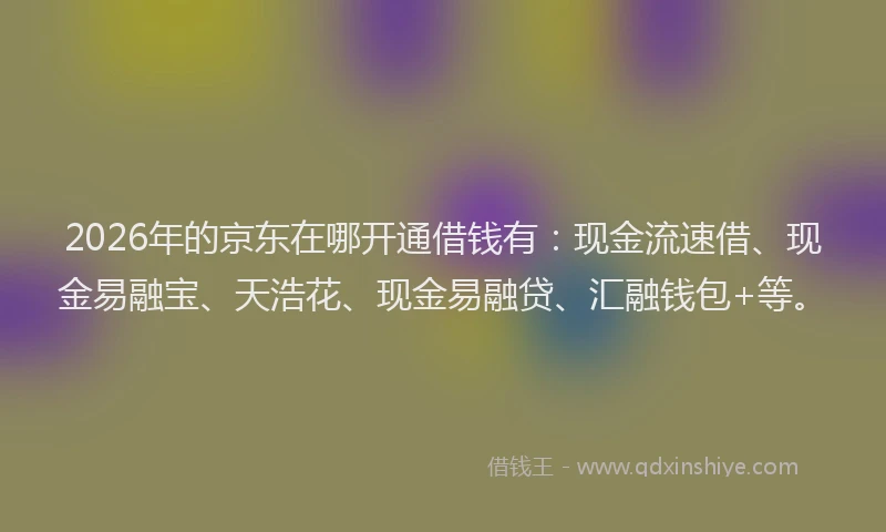 2026年的京东在哪开通借钱有:现金流速借、现金易融宝、天浩花、现金易融贷、汇融钱包+等。