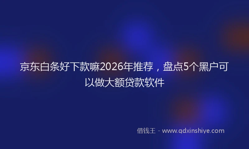 京东白条好下款嘛2026年推荐，盘点5个黑户可以做大额贷款软件