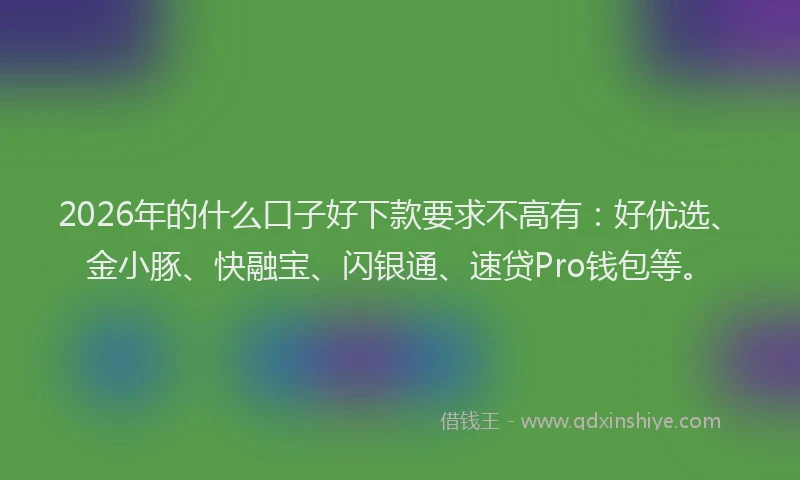 2026年的什么口子好下款要求不高有：好优选、金小豚、快融宝、闪银通、速贷Pro钱包等。