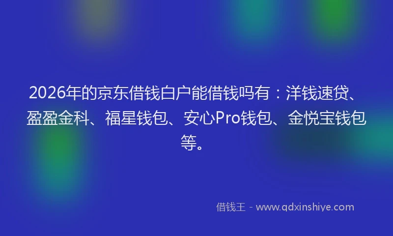 2026年的京东借钱白户能借钱吗有：洋钱速贷、盈盈金科、福星钱包、安心Pro钱包、金悦宝钱包等。