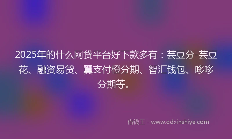 2025年的什么网贷平台好下款多有：芸豆分-芸豆花、融资易贷、翼支付橙分期、智汇钱包、哆哆分期等。