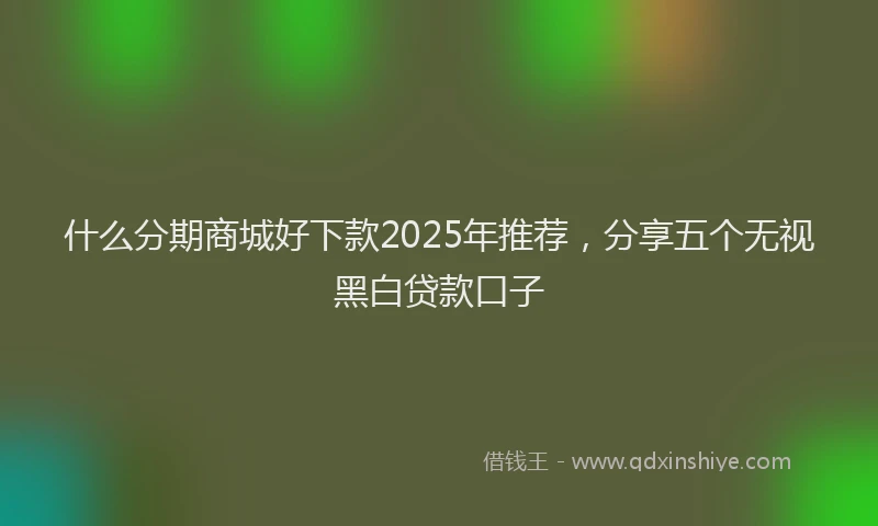 什么分期商城好下款2025年推荐，分享五个无视黑白贷款口子