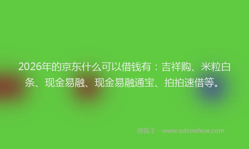 2026年的京东什么可以借钱有：吉祥购、米粒白条、现金易融、现金易融通宝、拍拍速借等。