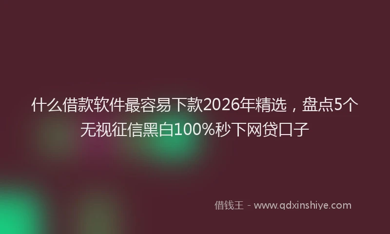 什么借款软件最容易下款2026年精选，盘点5个无视征信黑白100%秒下网贷口子