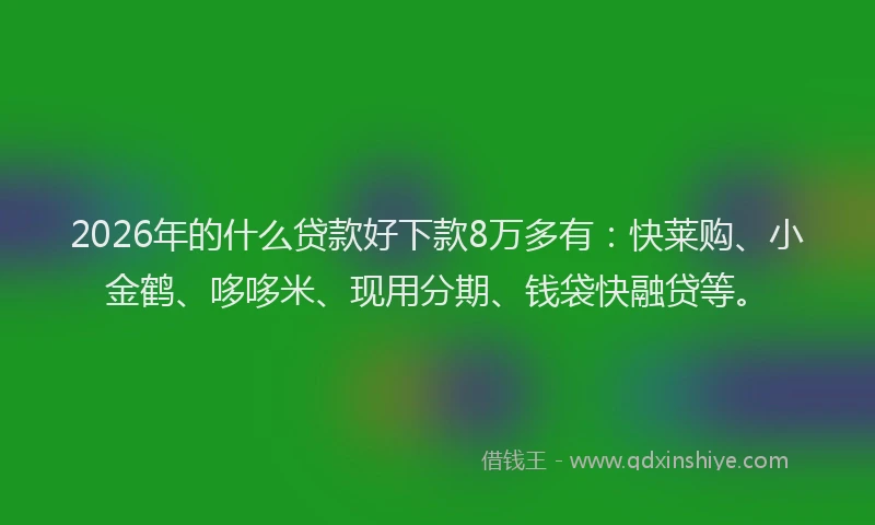 2026年的什么贷款好下款8万多有：快莱购、小金鹤、哆哆米、现用分期、钱袋快融贷等。