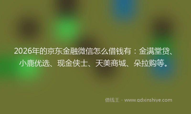 2026年的京东金融微信怎么借钱有：金满堂贷、小鹿优选、现金侠士、天美商城、朵拉购等。
