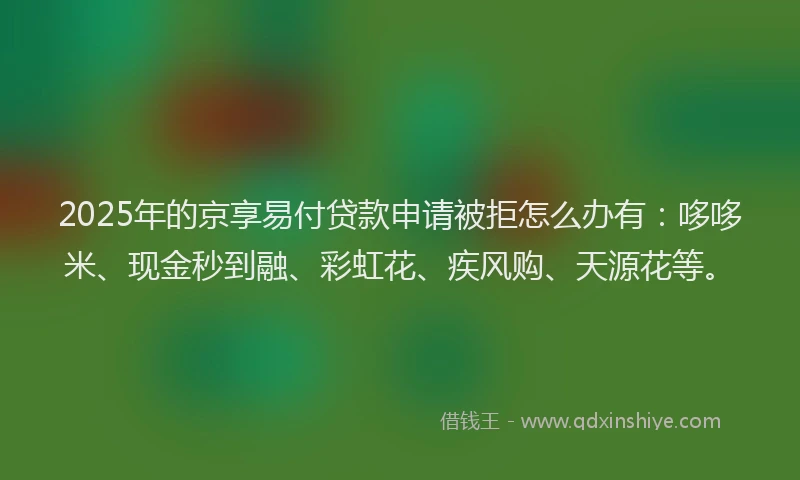 2025年的京享易付贷款申请被拒怎么办有：哆哆米、现金秒到融、彩虹花、疾风购、天源花等。