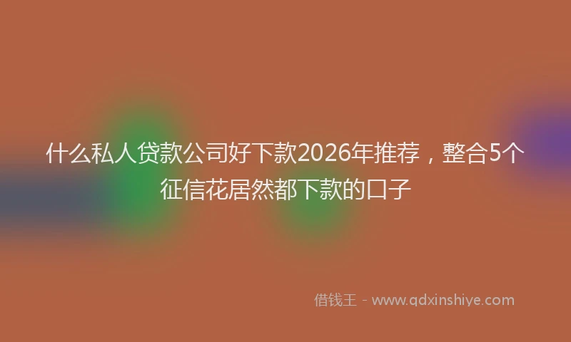 什么私人贷款公司好下款2026年推荐，整合5个征信花居然都下款的口子