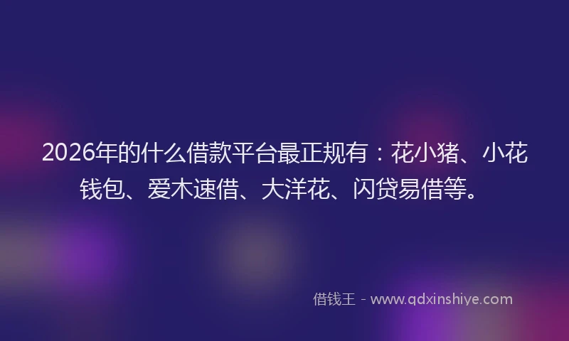 2026年的什么借款平台最正规有:花小猪、小花钱包、爱木速借、大洋花、闪贷易借等。