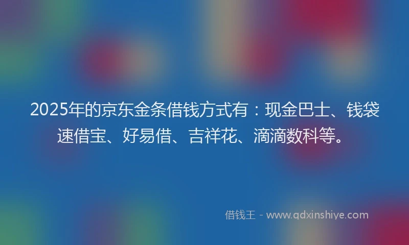 2025年的京东金条借钱方式有：现金巴士、钱袋速借宝、好易借、吉祥花、滴滴数科等。
