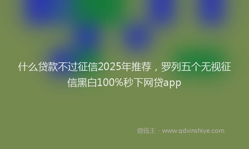 什么贷款不过征信2025年推荐，罗列五个无视征信黑白100%秒下网贷app