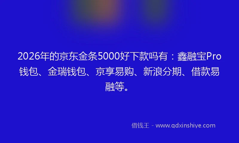 2026年的京东金条5000好下款吗有：鑫融宝Pro钱包、金瑞钱包、京享易购、新浪分期、借款易融等。