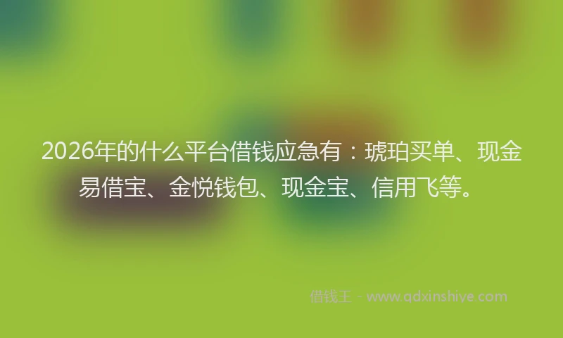 2026年的什么平台借钱应急有：琥珀买单、现金易借宝、金悦钱包、现金宝、信用飞等。