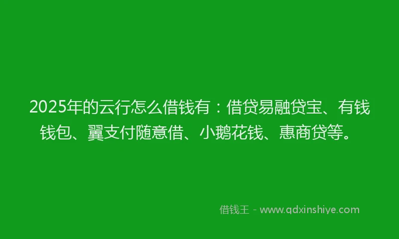 2025年的云行怎么借钱有：借贷易融贷宝、有钱钱包、翼支付随意借、小鹅花钱、惠商贷等。