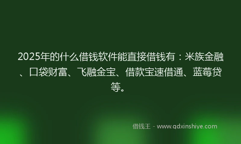 2025年的什么借钱软件能直接借钱有:米族金融、口袋财富、飞融金宝、借款宝速借通、蓝莓贷等。