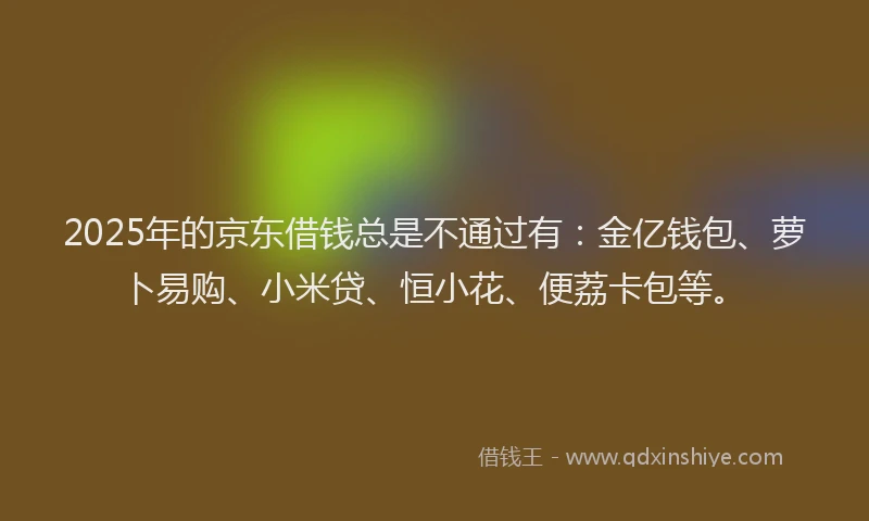 2025年的京东借钱总是不通过有：金亿钱包、萝卜易购、小米贷、恒小花、便荔卡包等。
