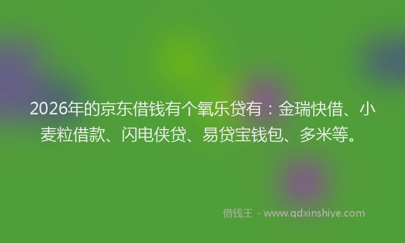 2026年的京东借钱有个氧乐贷有:金瑞快借、小麦粒借款、闪电侠贷、易贷宝钱包、多米等。
