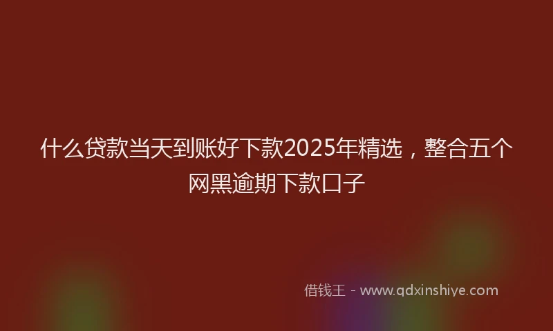 什么贷款当天到账好下款2025年精选，整合五个网黑逾期下款口子