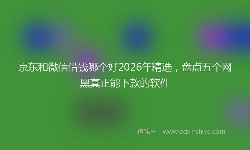 京东和微信借钱哪个好2026年精选，盘点五个网黑真正能下款的软件