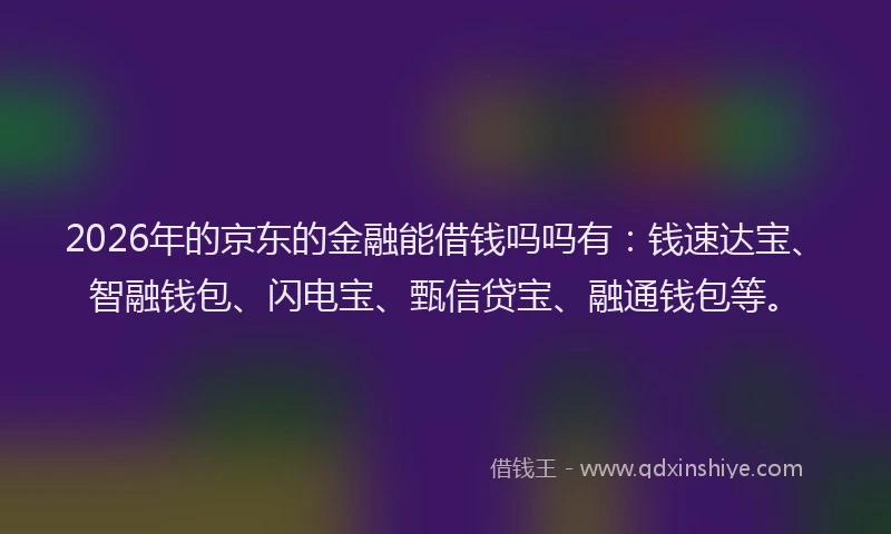 2026年的京东的金融能借钱吗吗有:钱速达宝、智融钱包、闪电宝、甄信贷宝、融通钱包等。