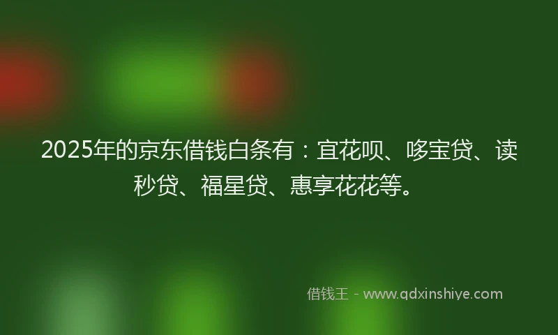 2025年的京东借钱白条有：宜花呗、哆宝贷、读秒贷、福星贷、惠享花花等。
