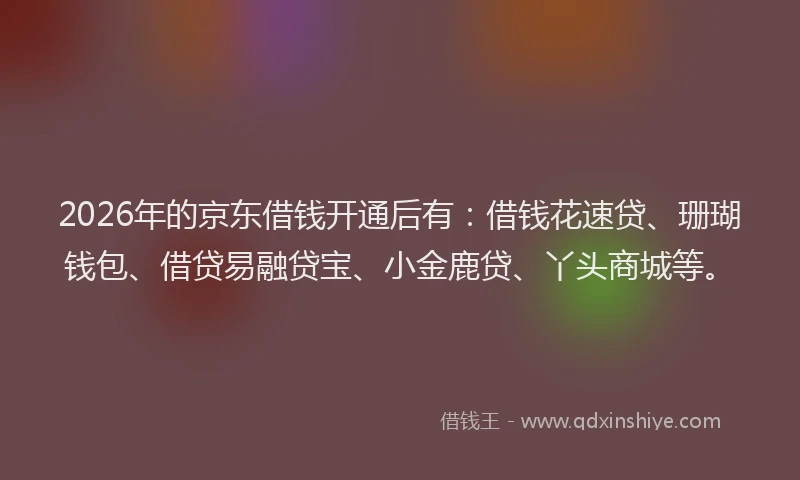 2026年的京东借钱开通后有：借钱花速贷、珊瑚钱包、借贷易融贷宝、小金鹿贷、丫头商城等。
