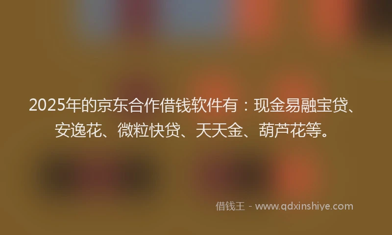 2025年的京东合作借钱软件有：现金易融宝贷、安逸花、微粒快贷、天天金、葫芦花等。