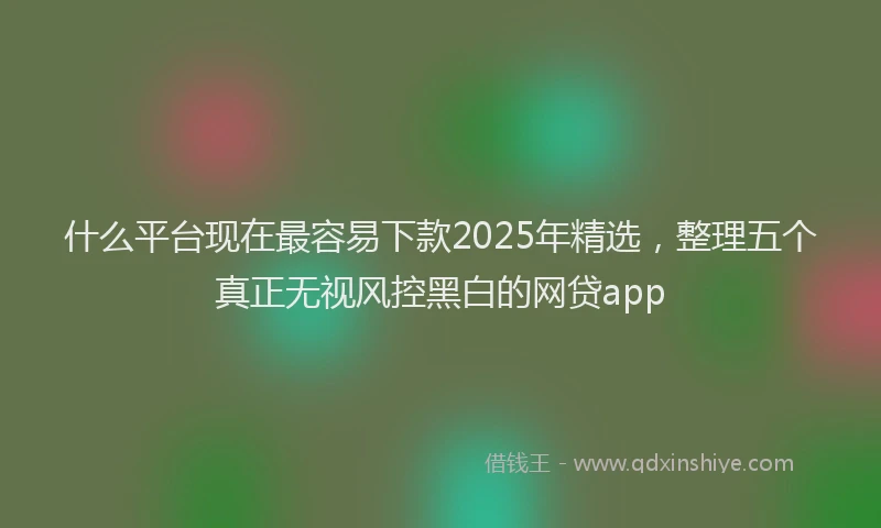 什么平台现在最容易下款2025年精选，整理五个真正无视风控黑白的网贷app