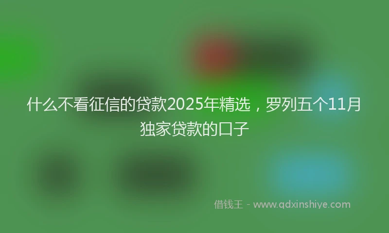 什么不看征信的贷款2025年精选,罗列五个11月独家贷款的口子