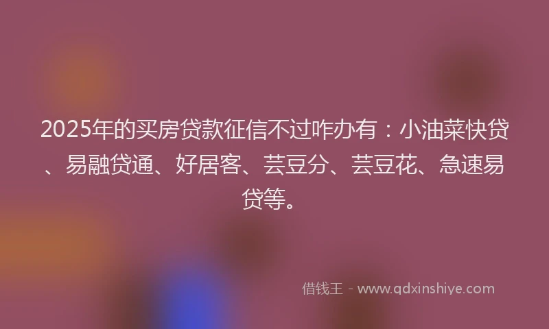 2025年的买房贷款征信不过咋办有:小油菜快贷、易融贷通、好居客、芸豆分、芸豆花、急速易贷等。