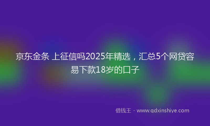 京东金条 上征信吗2025年精选，汇总5个网贷容易下款18岁的口子