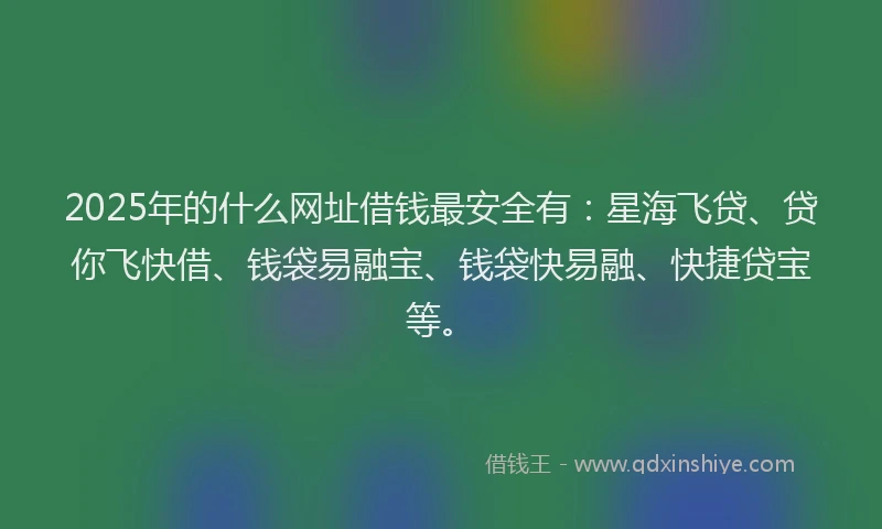 2025年的什么网址借钱最安全有：星海飞贷、贷你飞快借、钱袋易融宝、钱袋快易融、快捷贷宝等。