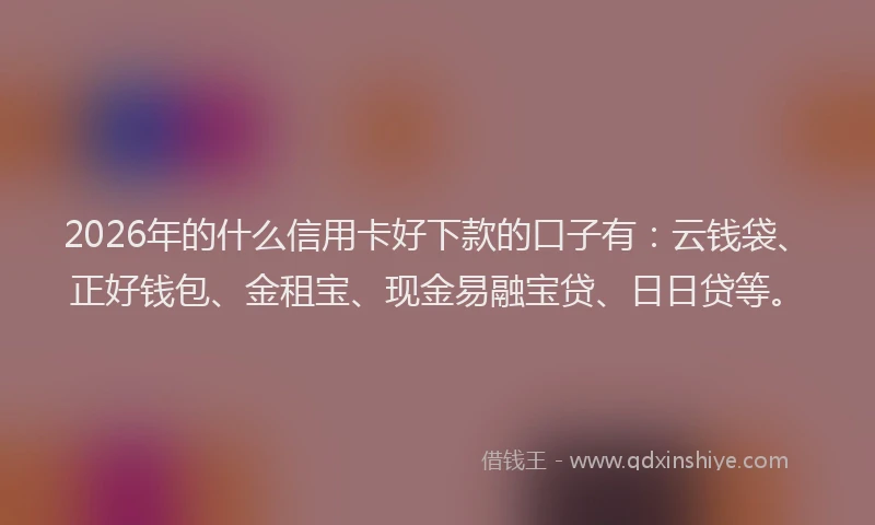 2026年的什么信用卡好下款的口子有:云钱袋、正好钱包、金租宝、现金易融宝贷、日日贷等。
