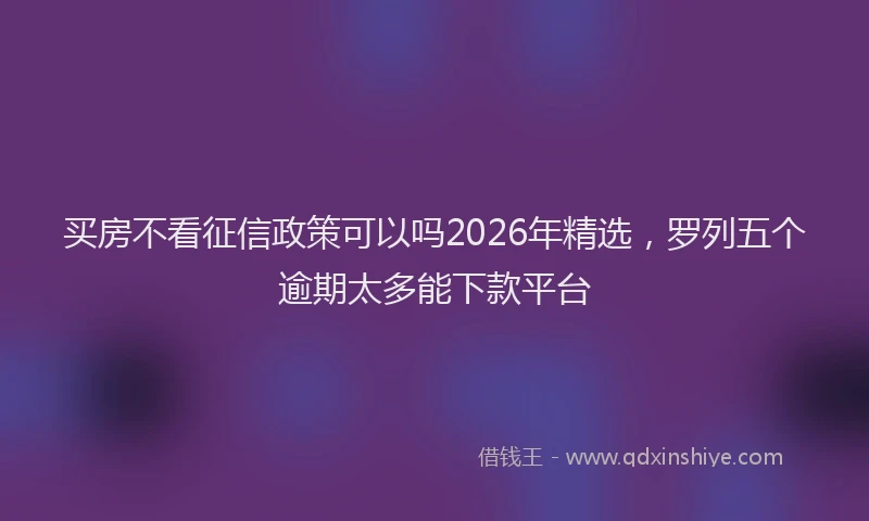 买房不看征信政策可以吗2026年精选，罗列五个逾期太多能下款平台