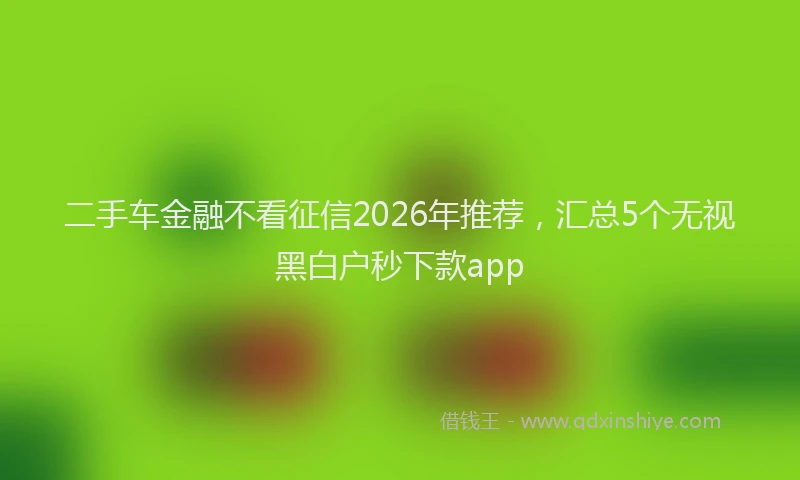 二手车金融不看征信2026年推荐，汇总5个无视黑白户秒下款app