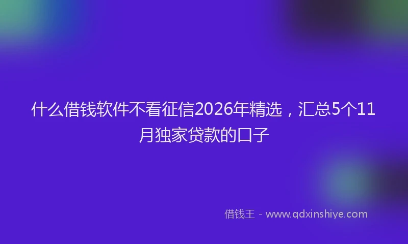 什么借钱软件不看征信2026年精选，汇总5个11月独家贷款的口子