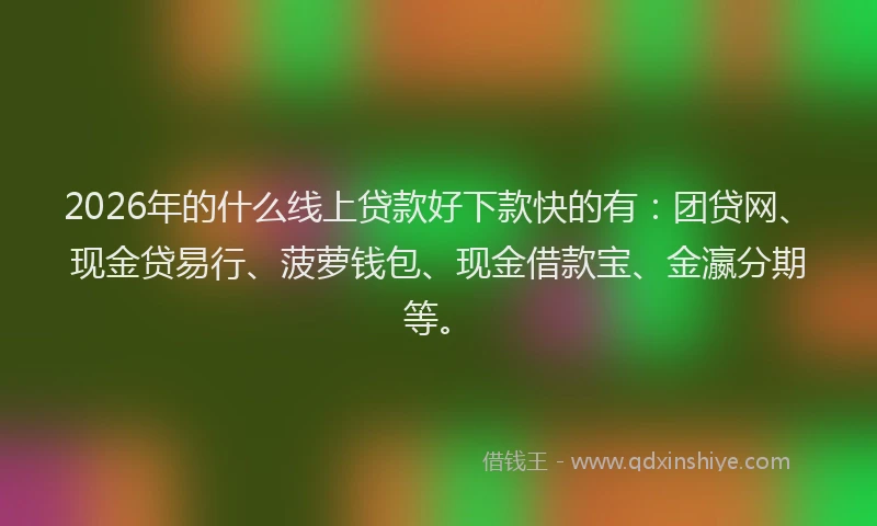 2026年的什么线上贷款好下款快的有：团贷网、现金贷易行、菠萝钱包、现金借款宝、金瀛分期等。