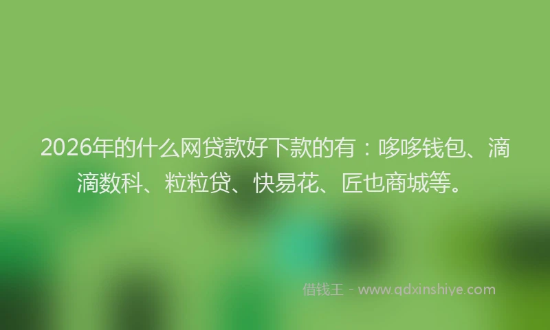 2026年的什么网贷款好下款的有:哆哆钱包、滴滴数科、粒粒贷、快易花、匠也商城等。