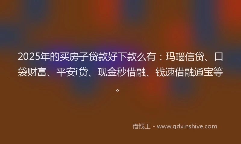 2025年的买房子贷款好下款么有：玛瑙信贷、口袋财富、平安i贷、现金秒借融、钱速借融通宝等。