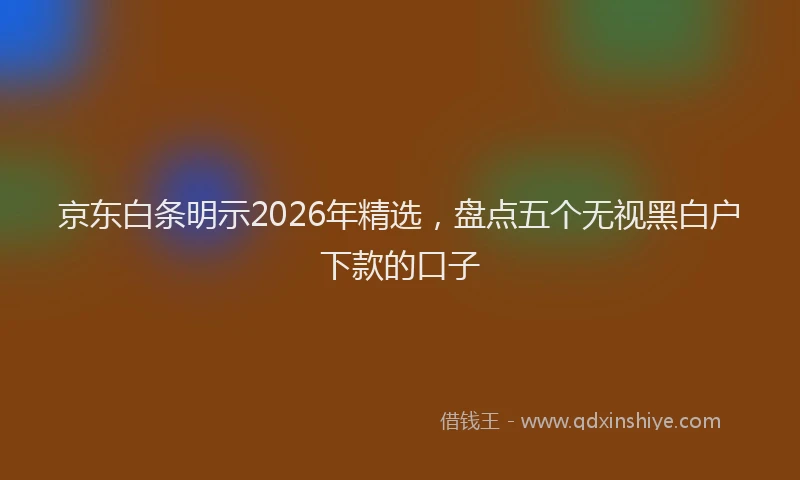 京东白条明示2026年精选，盘点五个无视黑白户下款的口子